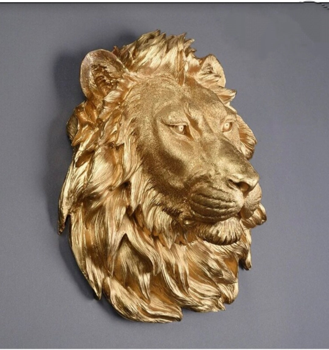 Wall decor lion head